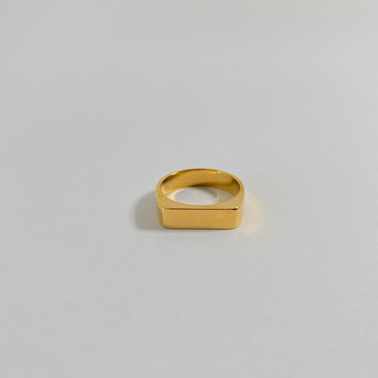 FLAT SURFACE RING